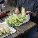 camping-at-idyllwild-june-2009-084 Re-wrapping the Corn in the Husks