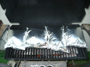 crystal-cove-sp-hike-june-2009-101 Foil Packets Puffed Up From Cooking on Grill